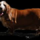 
              basetek